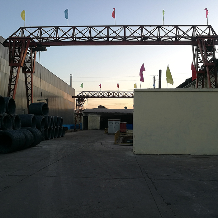 ��˿����