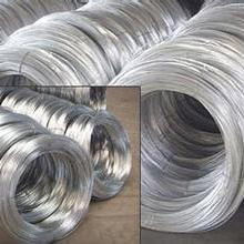 BWG8#-24#���п˿