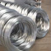 BWG8#-24#���п˿